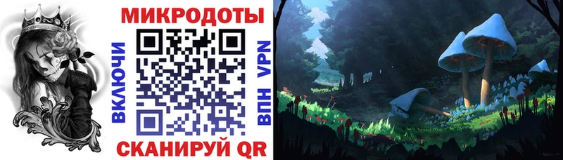 Псилоцибиновые грибы Psilocybe Купить закладки Камбарка